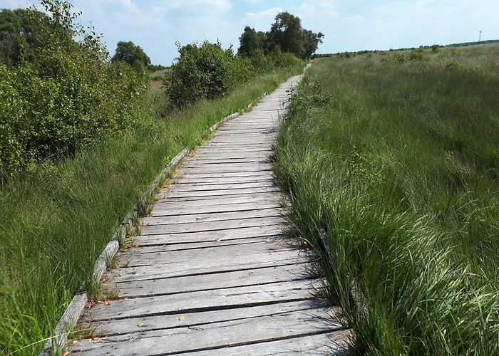 Daire Guenstige In Ostfriesland Auch Fuer Kleine Familie